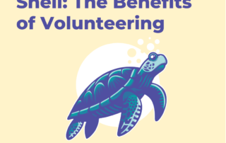 Coming out of Your Shell: The Benefits of Volunteering Image of a Turtle Tasnim Chowdhury